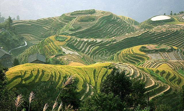 南方地区地形复杂.jpg